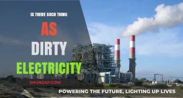 Dirty Electricity: Separating Fact from Fiction
