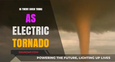 Electric Tornadoes: Myth or Reality?