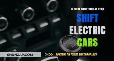 Stick Shift Electric Cars: Myth or Future Reality?