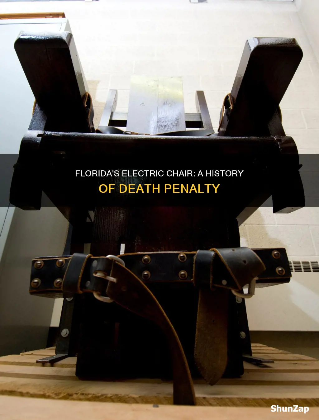 is there the electric chair in florida