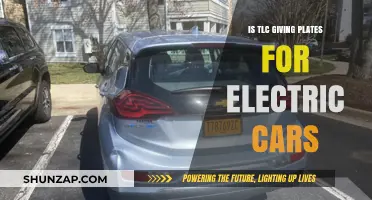 Are TLC License Plates Available for Electric Vehicles in NYC?