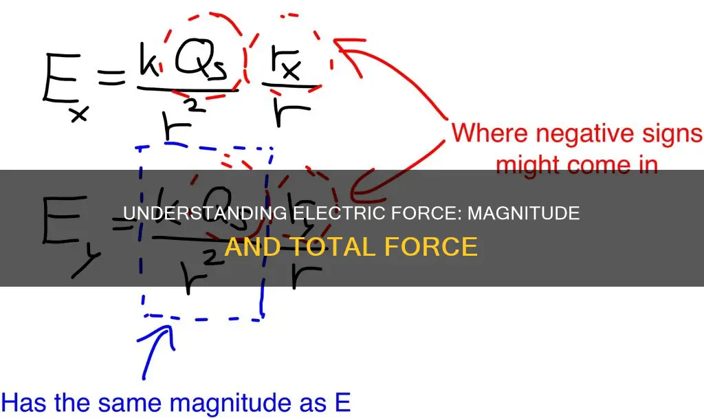 is total electric force equal to magnitude