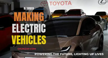 Toyota's Electric Evolution: A Green Revolution in the Works?