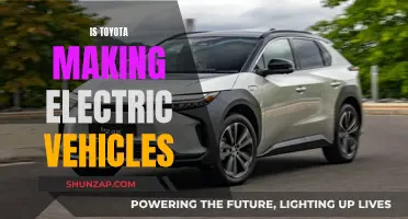 Toyota's Electric Vehicle Plans: Exploring the Company's Future Mobility