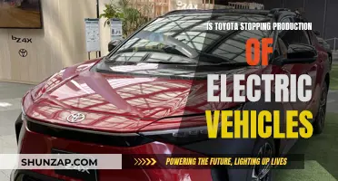 Toyota Halts Electric Vehicle Production: What's Next?