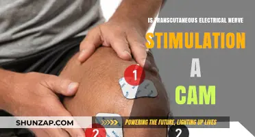 Transcutaneous Electrical Nerve Stimulation: CAM or Not?