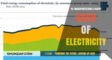 Transport's Electric Future: Energy's New Demand?