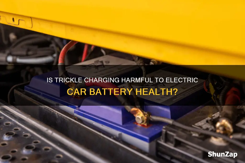 is trickle charging bad for electric car battery