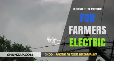 Who Powers Farmers Electric? Tristate's Role Explored