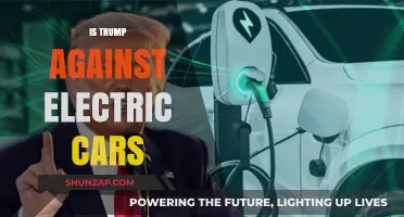Trump's Stance on Electric Vehicles: Opposition or Ambivalence?