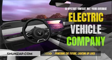 VinFast: Upstart EV Company, But Not Average