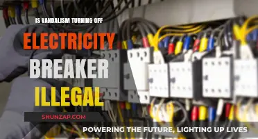 Vandalism of Electricity Breakers: A Criminal Act?