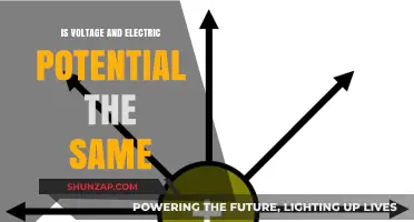 Voltage and Electric Potential: Are They Interchangeable?