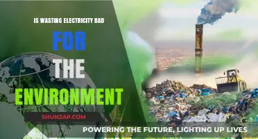 Electricity Waste: Harming the Environment and Your Wallet