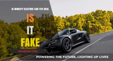 Wincity Electric Car $179 Deal: Legit or Scam Alert?