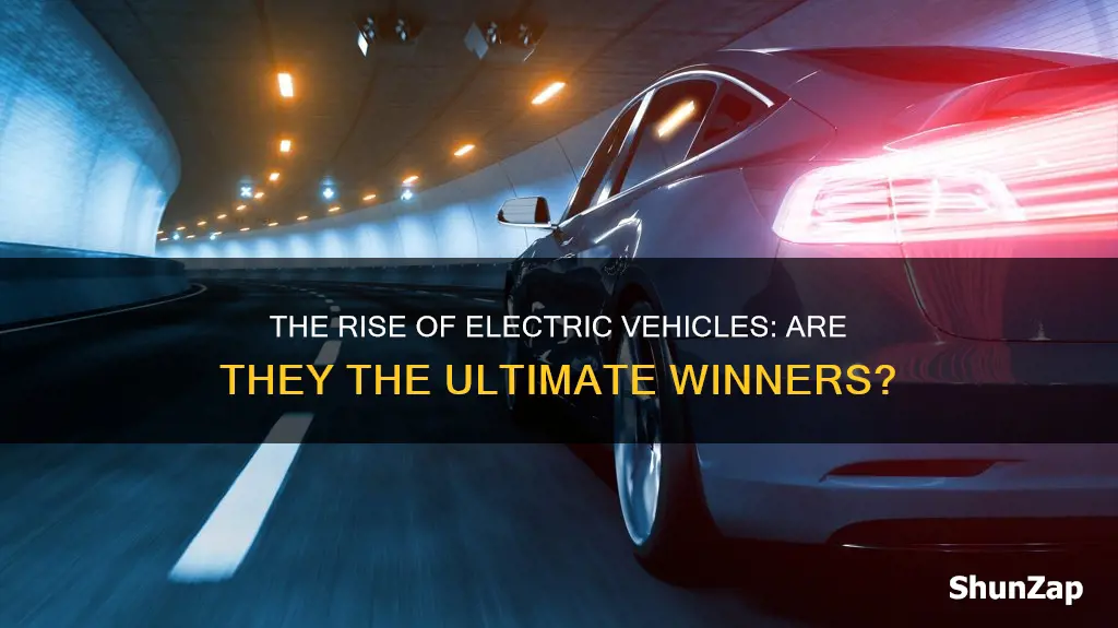 is winner electric vehicles