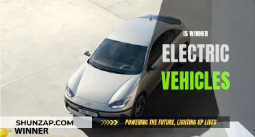 Electric Vehicles: Winner's Future Plans and Strategies