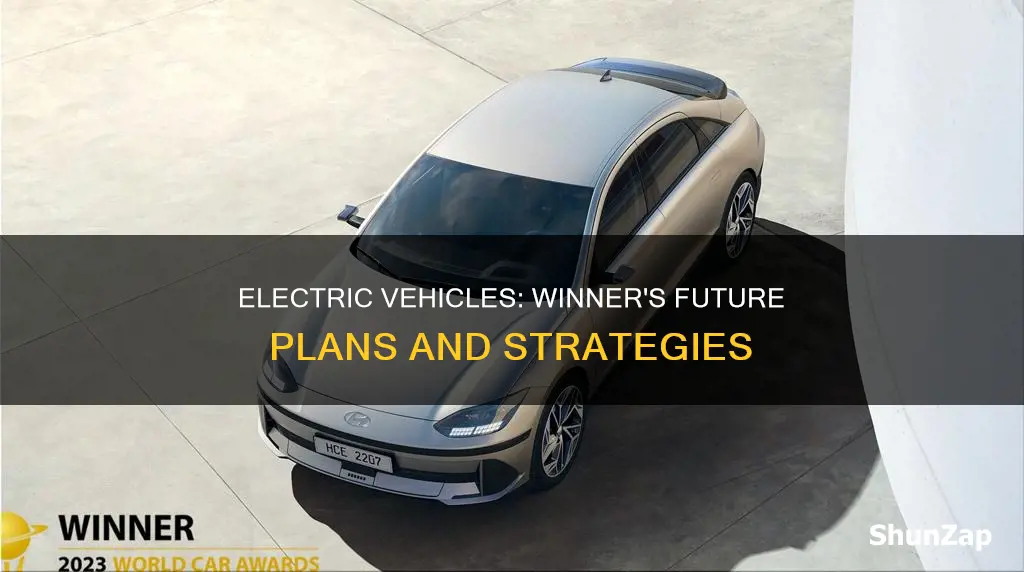 is winner electric vehicles