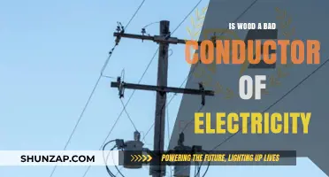 Why Wood Is a Poor Electrical Conductor
