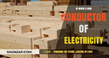 Wood's Electrical Conductivity: A Natural Non-Conductor