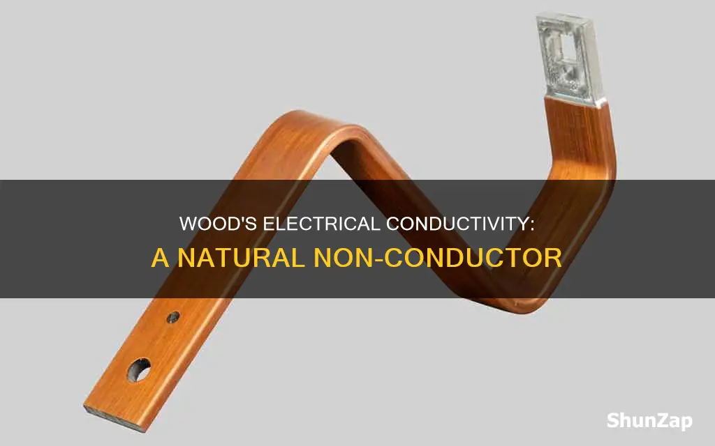 is wood a non conductor of electricity