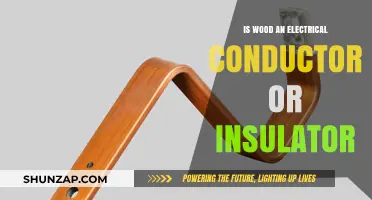 Wood's Electrical Nature: Conducting or Insulating?