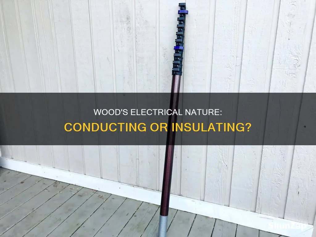 is wood an electrical conductor or insulator
