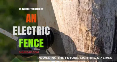 Electric Fences: Do They Affect Nearby Wood?