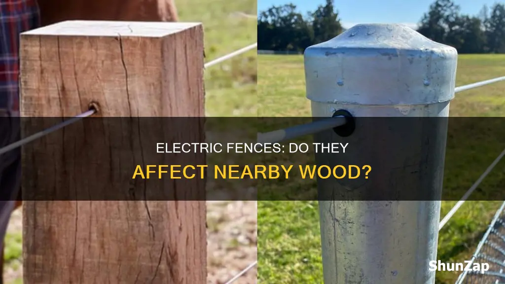 is wood effected by an electric fence