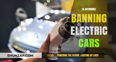 Wyoming's Electric Car Ban: Fact or Fiction? Unraveling the Debate
