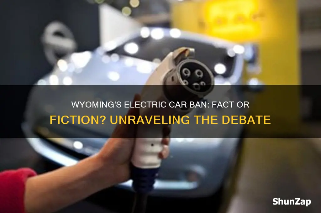 is wyoming banning electric cars