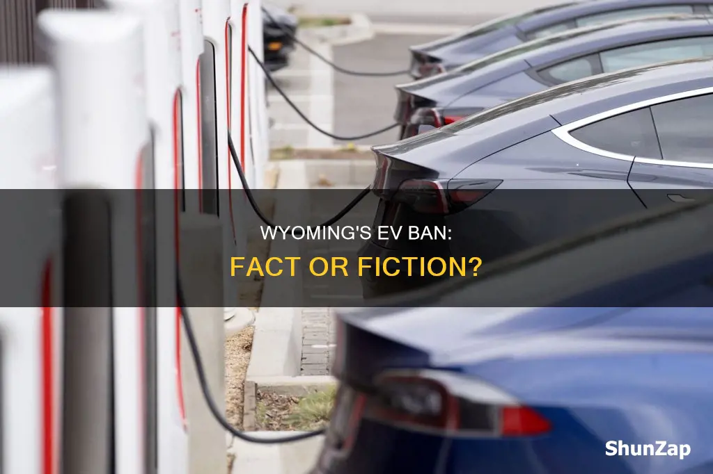 is wyoming banning electric vehicles