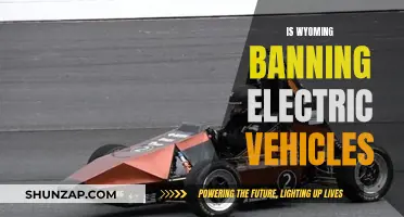 Wyoming's Proposed Ban on Electric Vehicles: What's the Story?