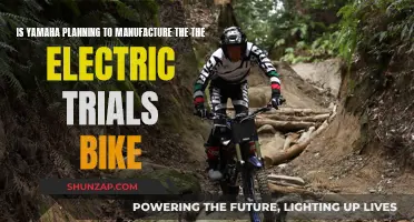 Yamaha's Electric Trials Bike: What's the Plan?