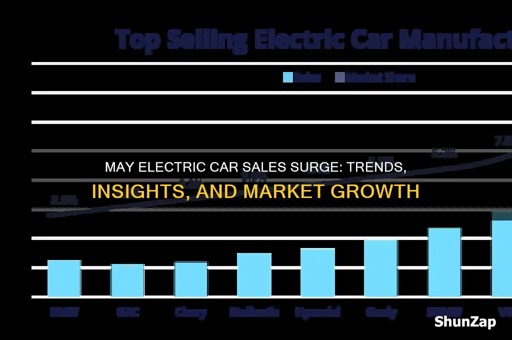 may electric car sales