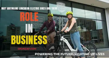 Greenlane's Electric Bike Luncheon: Business on Two Wheels