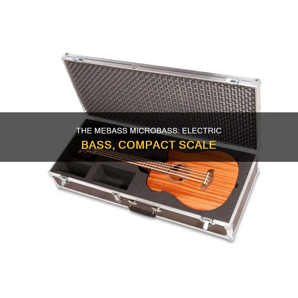 me bass 23 inch scale electric microbass