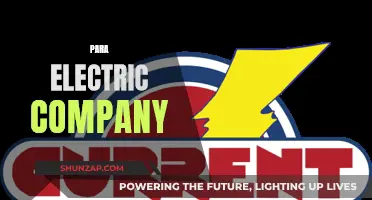 Para Electric Company: Illuminating Innovations and Sustainable Energy Solutions