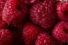 produce