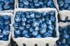 produce