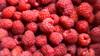 produce