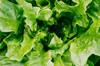 produce