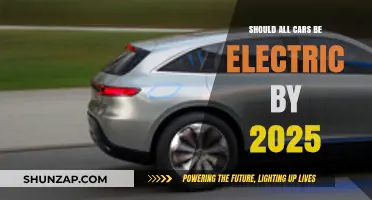 Accelerating Change: Should All Cars Go Electric by 2025?