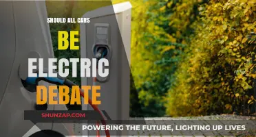 Electric Cars: The Future of Transportation or a Passing Trend?