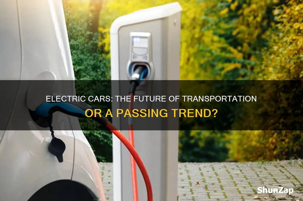 should all cars be electric debate