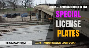 Should Illinois Mandate Special Plates for Electric Vehicles?