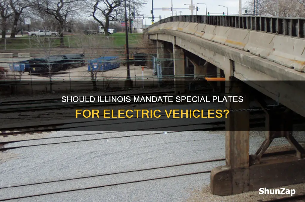 should all electric cars in illinois have special license plates