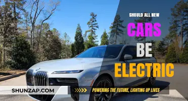 Electric Cars: The Future of Driving or a Passing Trend?