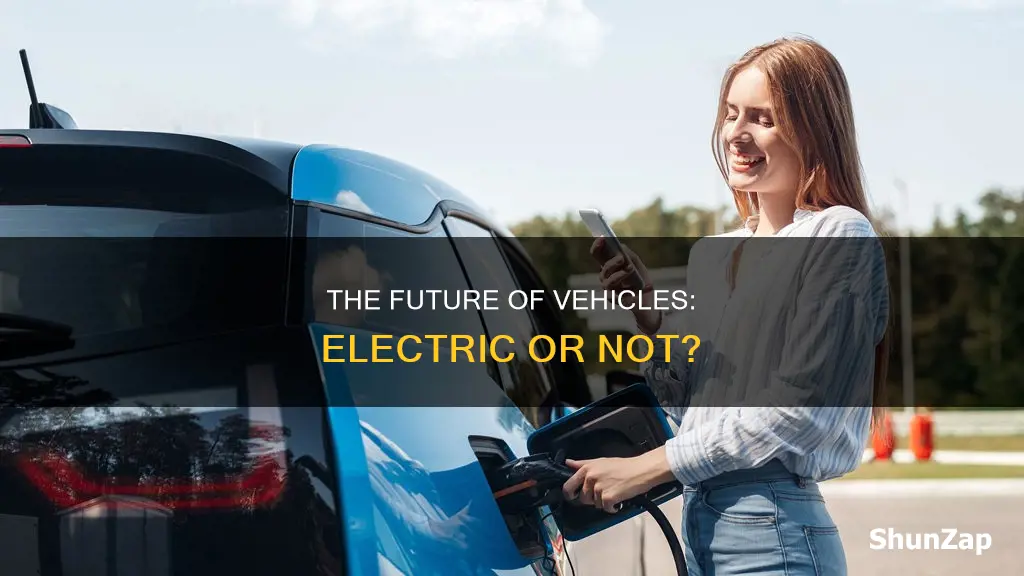 should all vehicles be electric