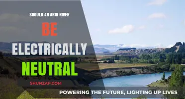 Arid Rivers: Electrically Neutral or Not?
